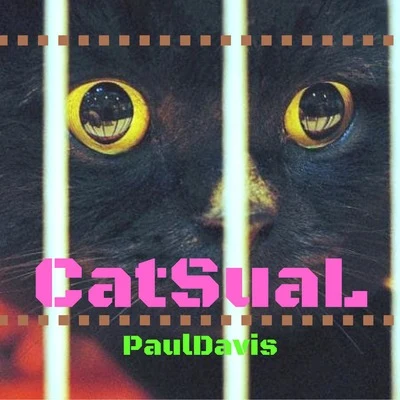 Paul Davis CatSual