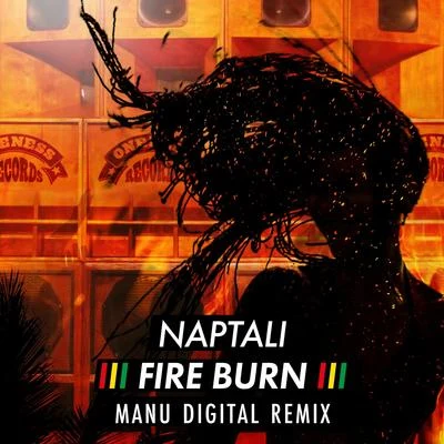 Naptali/Manudigital Fire Burn (Manudigital Remix)