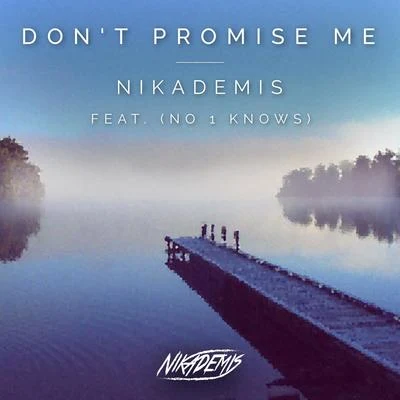 Nikademis Don唐promise me (feat. no 1 knows)