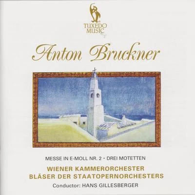 Anton Bruckner Bruckner: Mass in E Minor, No. 2 & Three Mottets