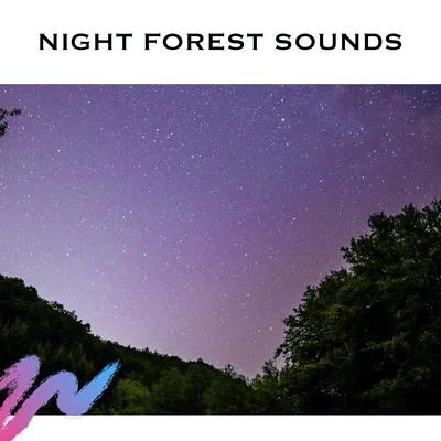 White Noise Radiance/Calming Rainforest Sounds/Nature Sounds Nature Music Night Forest Sounds