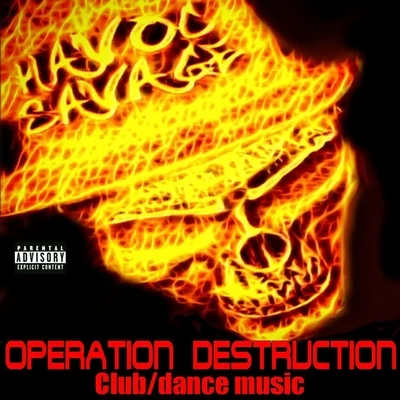 Havoc Savage Operation Destruction