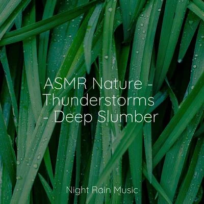 Rain Sounds Rain/Tibetan Singing Bowls for Relaxation/Nature Chillout ASMR Nature - Thunderstorms - Deep Slumber