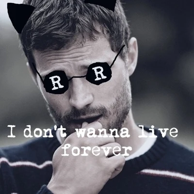 Rosenfeld I Dont Wanna Live Forever (Rosenfeld Remix)