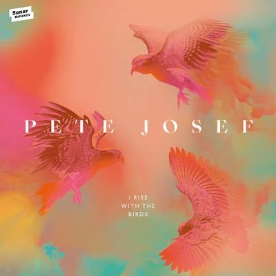 Pete Josef I Rise with the Birds