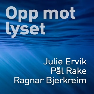 Julie Ervik/Ragnar Bjerkreim/Pål Rake Opp mot lyset