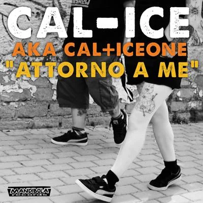 Cal/Ice One/CAL-ICE Attorno a me