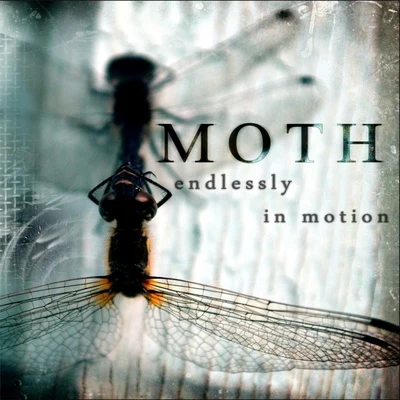 Moth Endlessly In Motion