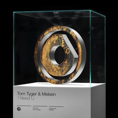 Tom Tyger/Melsen I Need U