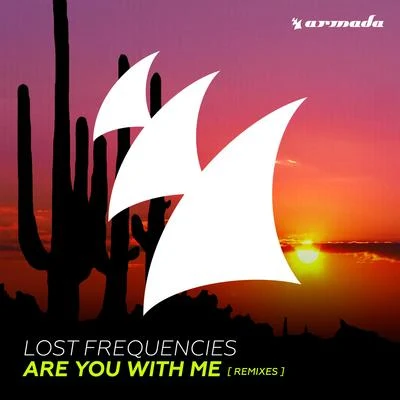 Lost Frequencies Are You With Me