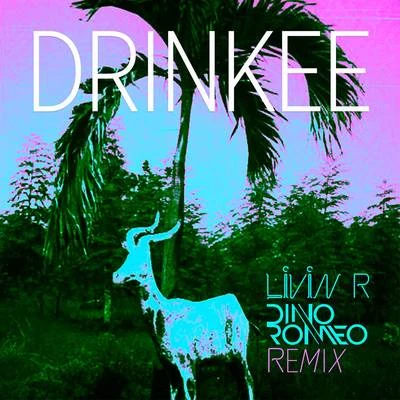 Sofi Tukker Drinkee (Livin R & Dino Romeo Remix)