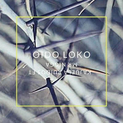 Mr Nigga Oido Loko