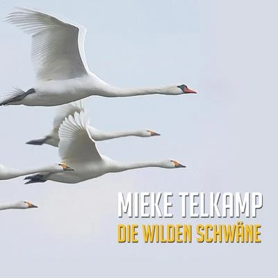 Mieke Telkamp Die Wilden Schwäne