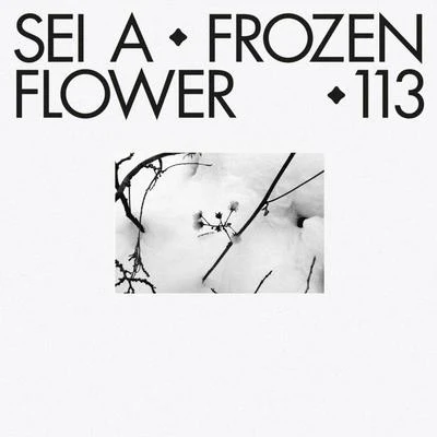 Sei A Frozen Flower