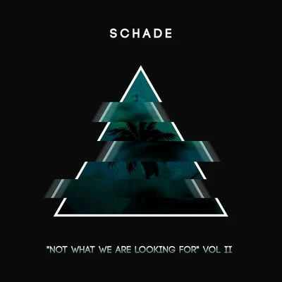 Schade Not What We Are Looking For [Volume 2]