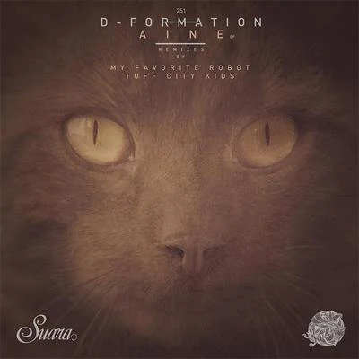 D-Formation Aine - EP