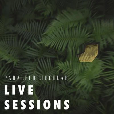 Juancho Marqués Paralelo Circular (Live Sessions)