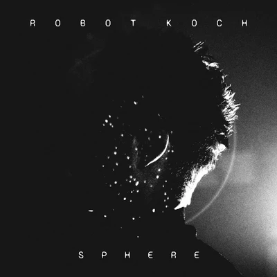 Robot Koch Sphere