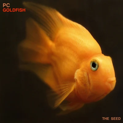 PC Goldfish