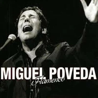 Miguel Poveda Flamenco