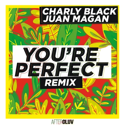 Charly Black Youre Perfect (Remix)