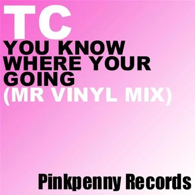 TC You Know Where Your Going (Mr Vinly Remix)