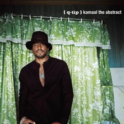 Q-Tip Kamaal The Abstract