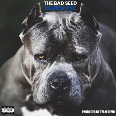 The Bad Seed Blue Nose