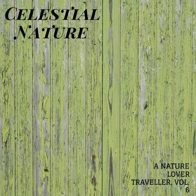 Nature Sounds/Rain Sounds For Sleep/White Noise Meditation Celestial Nature - A Nature Lover Traveller, Vol. 6