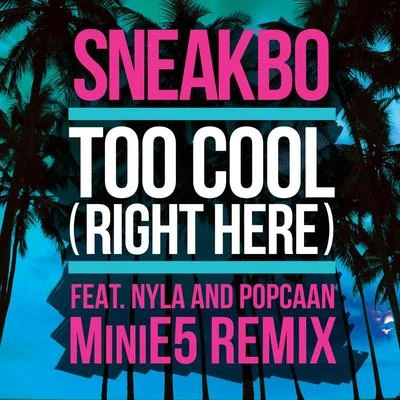 Sneakbo Too Cool (Right Here) (MiniE5 Remix)