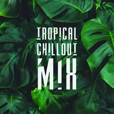 Best Of Hits/Summer Experience Music Set Tropical Chillout Mix: Chillout Vibes, Compilation of Best 2019 Sunny Beats, Deep Relax, Summer Music