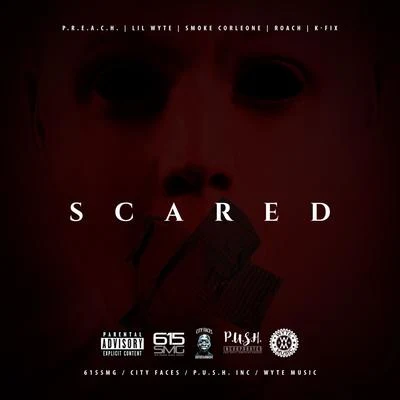 Lil Wyte Scared