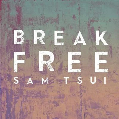 Sam Tsui Break Free