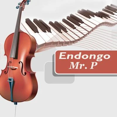 Mr. P Endongo