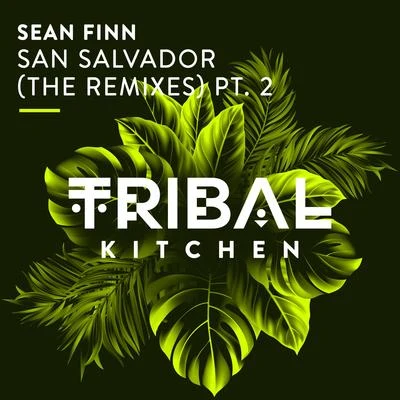 Sean Finn San Salvador (The Remixes) Pt. 2