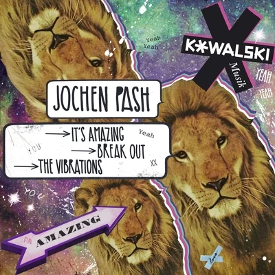 Jochen Pash Break out