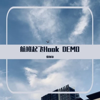 张珈尔 航班起飞Hook demo