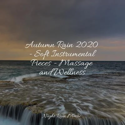 Nature Ambience/Sonido de lluvia/Rain Drops for Sleep Autumn Rain 2020 - Soft Instrumental Pieces - Massage and Wellness