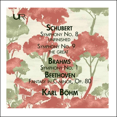 Vienna Philharmonic/Vienna Symphony Choir/Karl Bohm/Vienna Symphony Schubert: Symphony Nos. 8 & 9 - Brahms: Symphony No. 1 (Live)