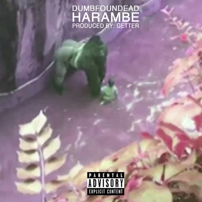 Dumbfoundead Harambe