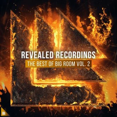 Revealed Recordings Revealed Recordings presents The Best of Big Room Vol. 2