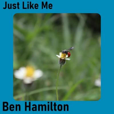 Ben Hamilton Just Like Me