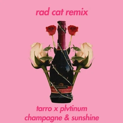 Rad Cat champagne sunshine (RA的cat remix)