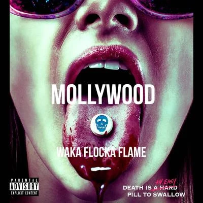 Waka Flocka Flame Mollywood