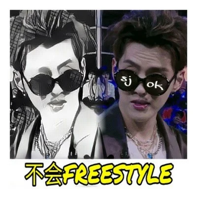 SJoK 不会Freestyle