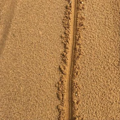 Collage Line in the Sand