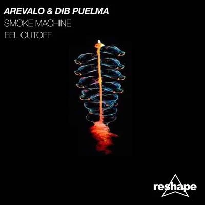 Arevalo Arevalo & Dib Puelma EP