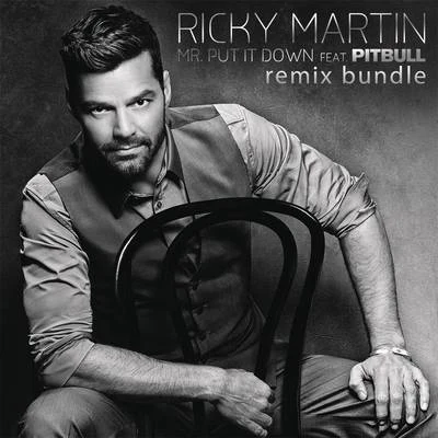 Ricky Martin Mr. Put It Down (Remixes)