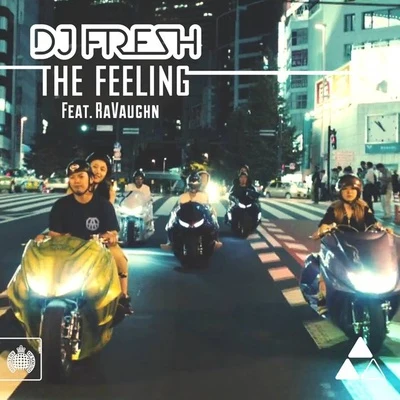 Ravaughn/DJ Fresh The Feeling