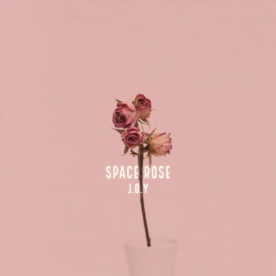 J.O.Y Space Rose